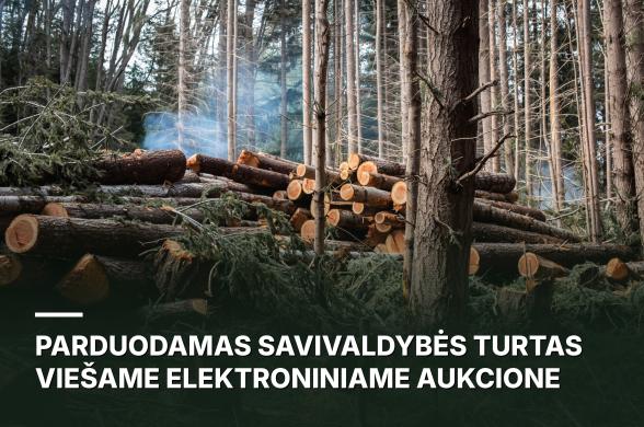 SKELBIMAS APIE PARDUODAMĄ SAVIVALDYBĖS TURTĄ VIEŠAME ELEKTRONINIAME AUKCIONE